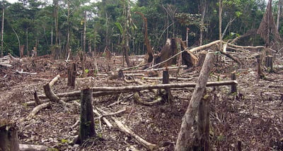 Sustainable Agriculture Initiatives in South America