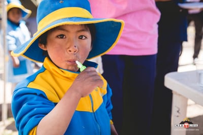 The State of Oral Health in South America: Addressing Challenges and Seizing Opportunities