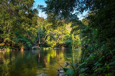 Sustainable Water Management: Navigating South America’s Water Resources