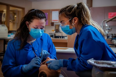 Why Real-World Experience Matters for Pre-Dental Students