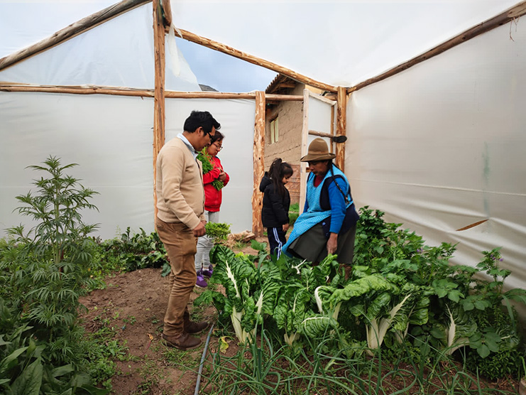Medlife-greenhouse-01